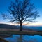 Lonely autumn naked tree on night mountain