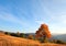 Lonely autumn tree on evening Carpathian.