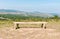 Lonely bamboo bench