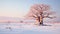 Lonely Baobab: Captivating Snowfield Scene With Soft Pink Hues