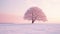 Lonely Beech A Serene Snowfield Scene With Soft Focus And Ethereal Light