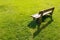 Lonely bench in backyard.