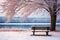 A lonely bench in a calm winter landscape