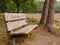 Lonely bench in Dutch heathland