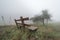 lonely bench in foggy weather