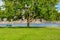 Lonely bench on the shore with lake and mountains view under the chestnut tree