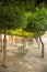 A lonely bench stands under the crowns of orange trees on the street of a Mediterranean city.