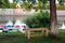 Lonely bench stands under a tree by the river