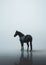 lonely black horse standing in the water, foggy background