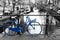 Lonely blue bike in Amsterdam