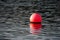 Lonely buoy