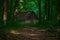 Lonely cabin in wood land forest environment space summer scenic view