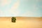 Lonely cactus, dry landscape desert scene, sand dunes. Environment sandstone scene outdoors as minimalism