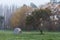 Lonely camping tent on grass under tree in the morning mist.