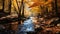 Lonely canal among golden maple trees in autumn