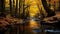 Lonely canal among golden maple trees in autumn