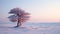 Lonely Cedar: A Wistful Lone Tree In A Snowy Field