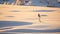 Lonely Cedrella: A Backlit Bird Perched On A Snowy Spot