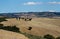 Lonely chapel in Valley Orcia