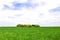 Lonely chapel in the wheat field