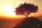 Lonely Cherry Tree on Seaside Rocks