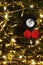 Lonely Christmas night with two beautiful red roses full moon an