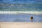 Lonely coconut lies on sandy tropical beach