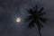Lonely coconut tree with full moon in the night