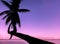 Lonely Concept, Soft Focus Color Filter Silhouette Single Thai Woman Sit Alone Waiting for Love on Curve Coconut Tree of The Beach