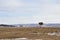 Lonely coniferous beautiful tree on the island of Olkhon in Siberia on the shore of Lake Baikal in spring among dry grass an