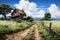 Lonely country house in a meadow by a dirt road. Illustration of a rural scene