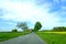 Lonely country road in spring. Germany, Schleswig-Holstein