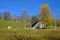 Lonely cow standing by a mountain Farm building