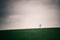 Lonely cross on the horizon series