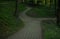 Lonely curved trail foot path way in park in dusk morning lighting