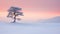 Lonely Cypress In Red Morning Light: A Serene Snowscape