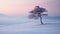 Lonely Cypress On Snow-covered Hill: Ethereal Portraiture In Light Cyan And Pink