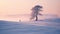 Lonely Cypress In Snow A National Geographic Style Landscape Photo