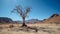 lonely dead tree in a desert area against the backdrop of mountains and a blue sky. Drought concept