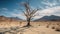 lonely dead tree in a desert area against the backdrop of mountains and a blue sky. Drought concept