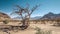 lonely dead tree in a desert area against the backdrop of mountains and a blue sky. Drought concept