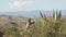 Lonely desert landscape in the middle of mountains