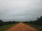 Lonely dirt road through the orange groves.