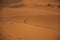 A lonely Dog in Jaisalmer Desert