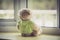 Lonely doll bears near the window
