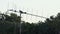 A lonely dove sits on an aluminum aerial on a building roof in slo-mo