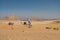 A lonely Egyptian man and Camels in the Giza pyramid complex, an archaeological site on the Giza Plateau, on the outskirts of