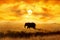 Lonely Elephant against sunset and beautiful sun and clouds in savannah. Serengeti National Park. Africa. Tanzania. Artistic imag