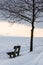 Lonely and empty bench with tree - winter landscape