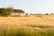 Lonely farmhouse in the middle of the rye field, looming rain clouds on the background